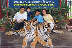 คำอธิบาย: คำอธิบาย: D:\Web\sampran_tiger.jpg