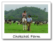 คำอธิบาย: D:\image\chokchaifarm02.gif