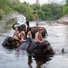 คำอธิบาย: คำอธิบาย: D:\..\..\image\krabi\elephant_trekking.gif