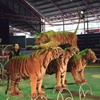 คำอธิบาย: คำอธิบาย: คำอธิบาย: D:\..\..\image\pattaya\tigerzoo\tiger-02.gif